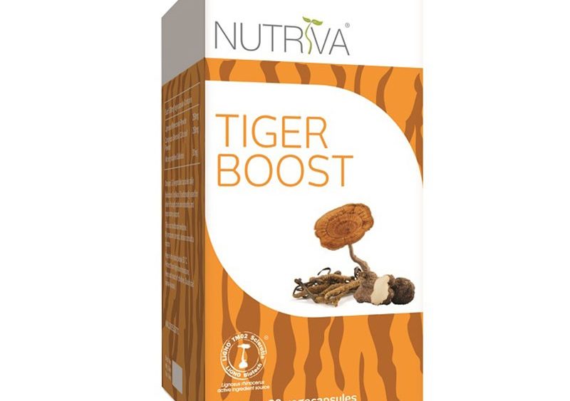 Tiger milk mushroom supplement