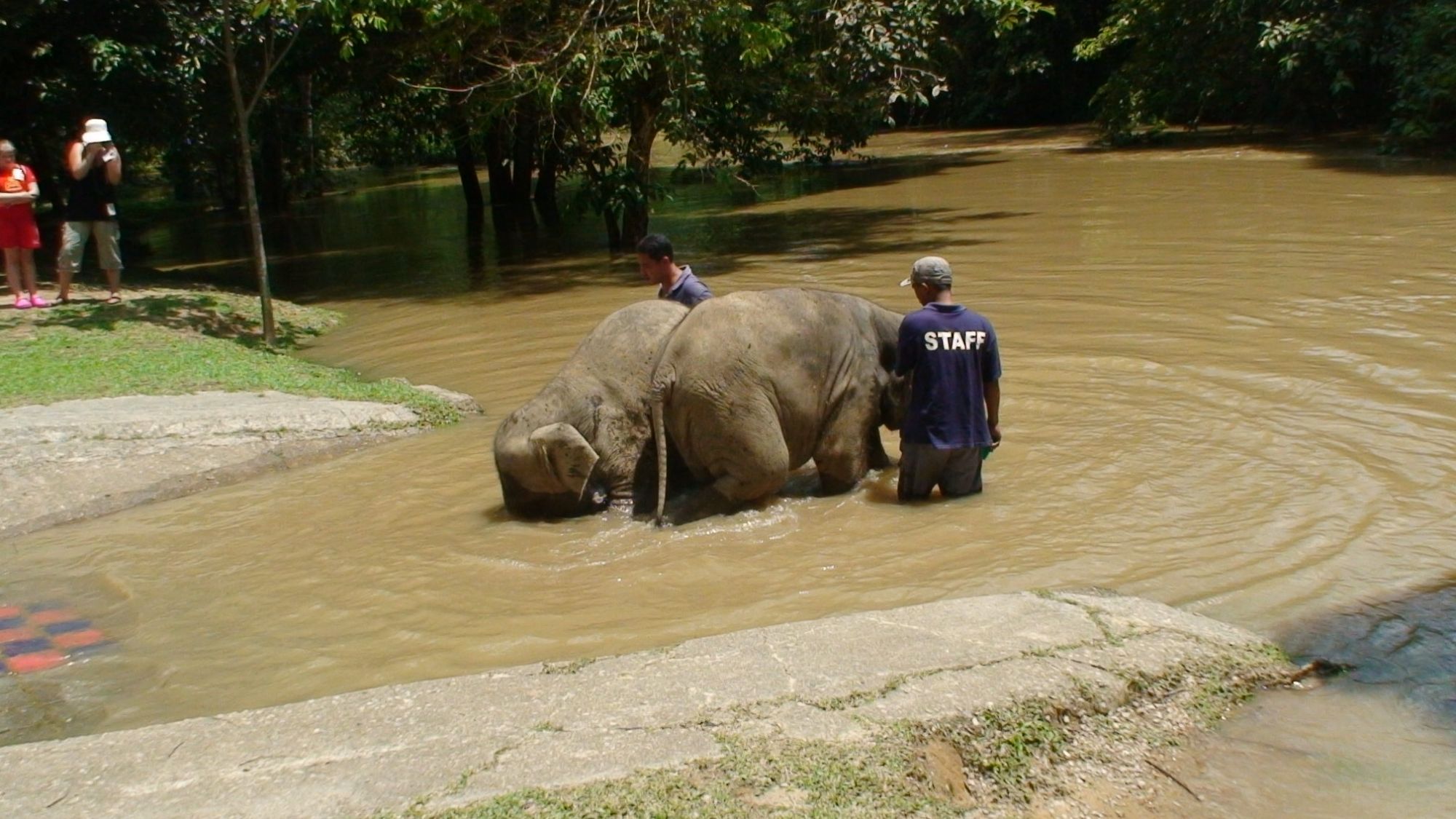 National Elephant Conservation Centre reviews