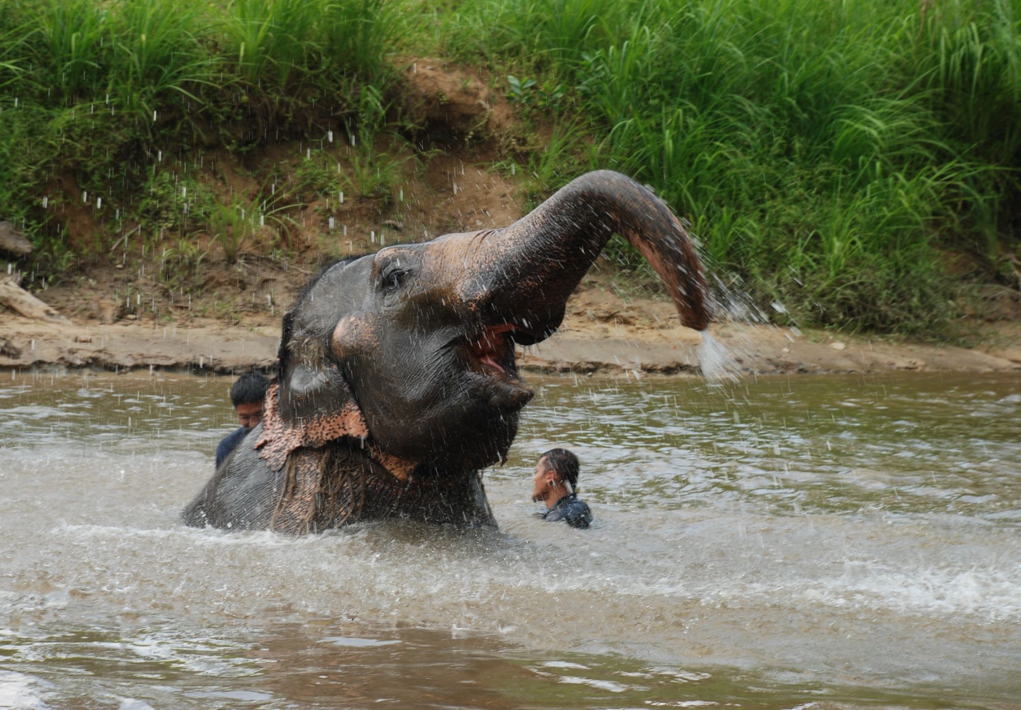 National Elephant Conservation Centre reviews