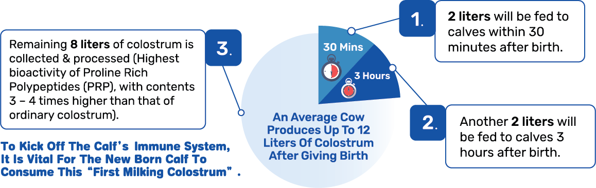 OriCell Colostrum 400mg 
