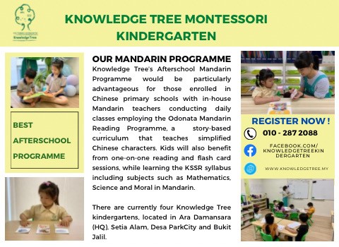Knowledge Tree – After School Programme