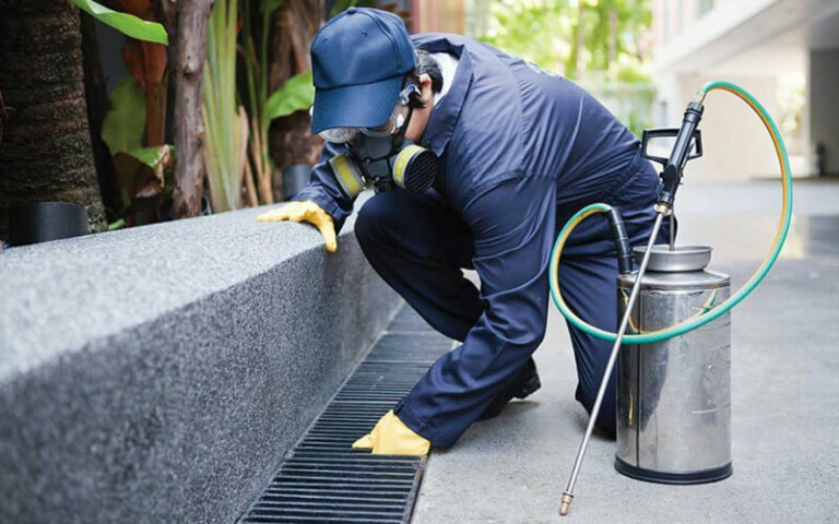 Best Pest Control Service Professionals