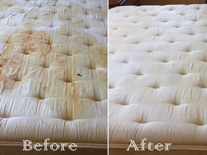 best sofa and mattress cleaning service professionals