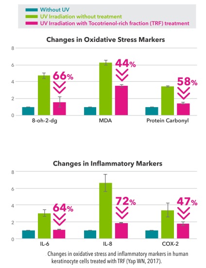 oxidative stress and inflammatory markers