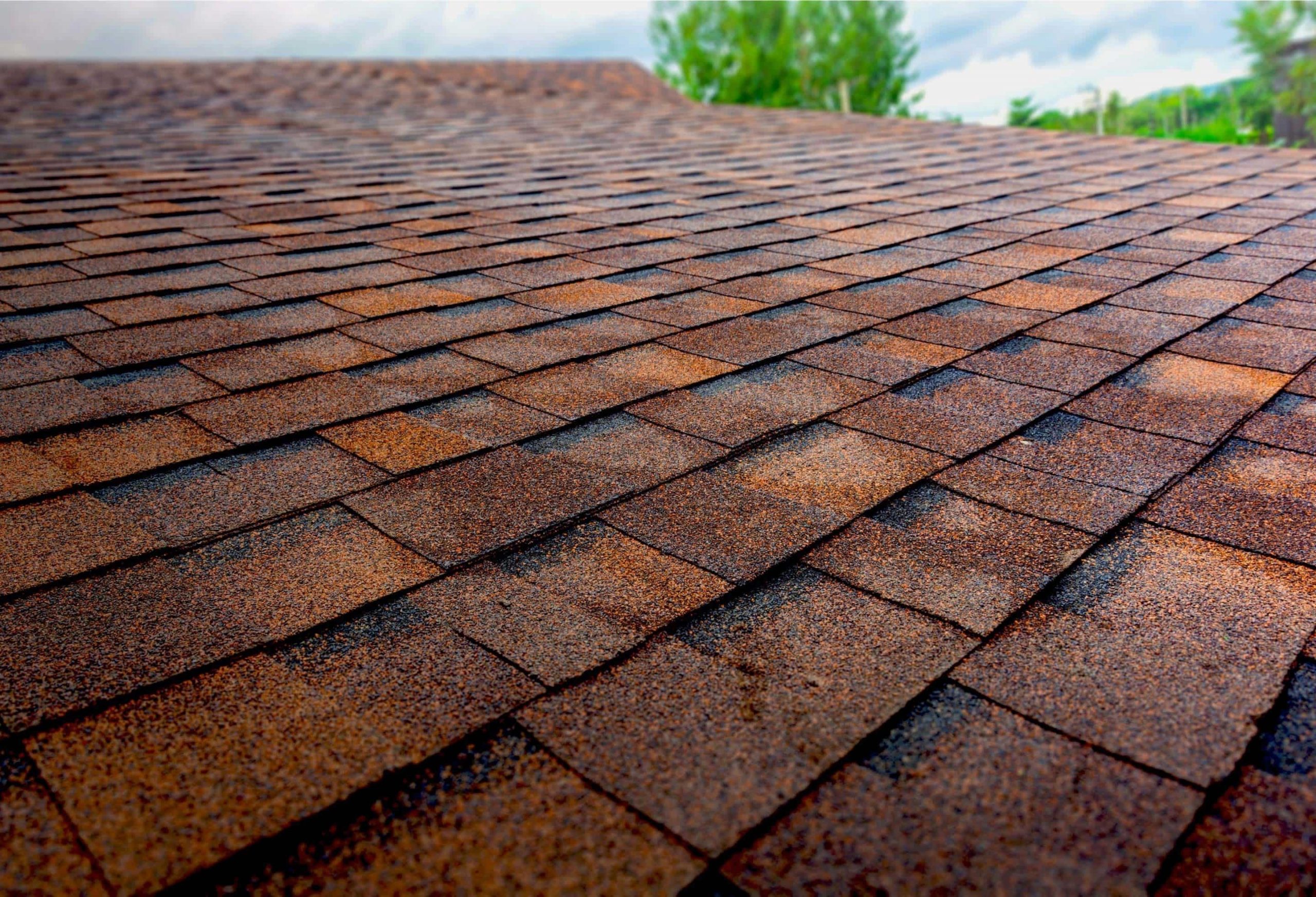 the best roofing service professionals