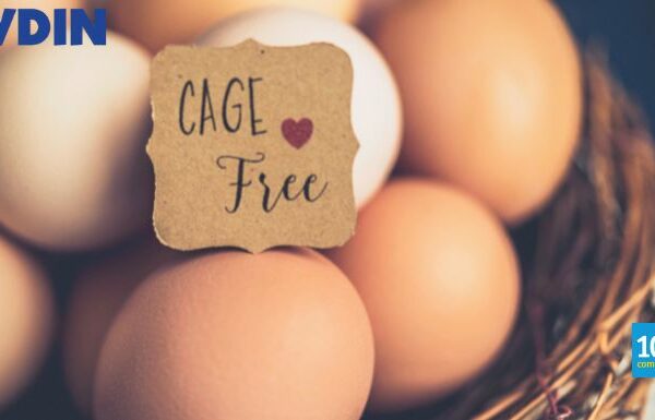 Mydin Cage-Free