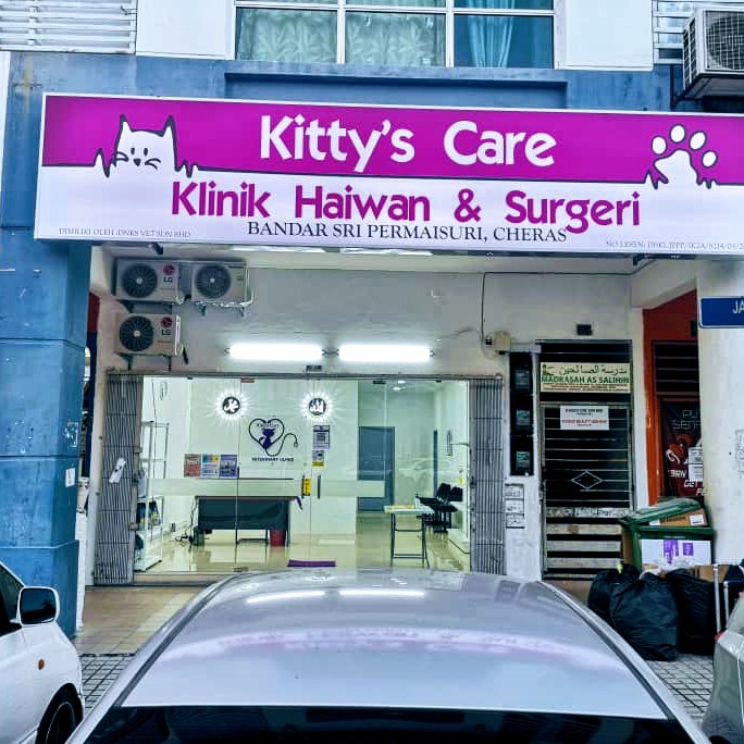 Kitty's Care
