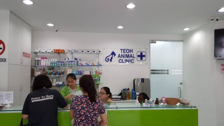 Teoh Animal Clinic