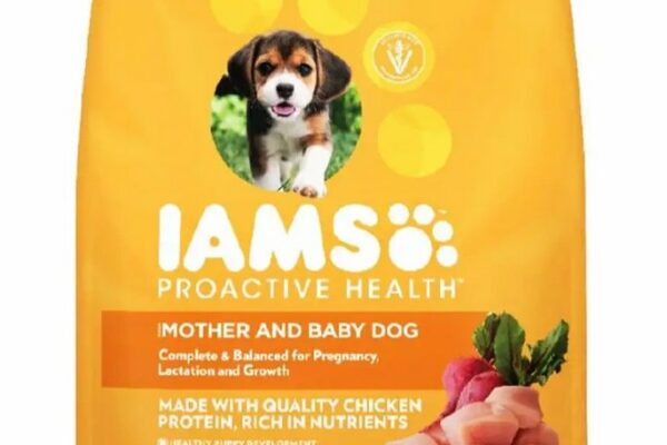 IAMS Proactive Health Mother & Baby Dog