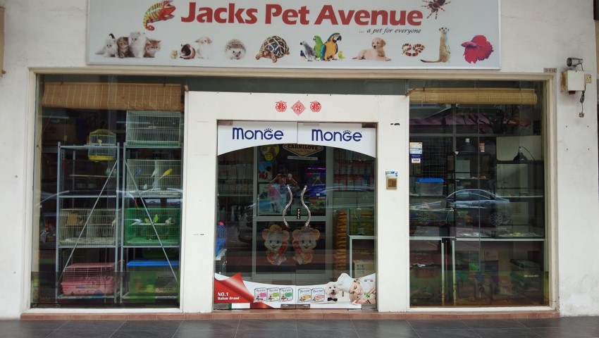 12 Best Pet Shops In KL & Selangor For Your Pet Dog Or Cat Needs