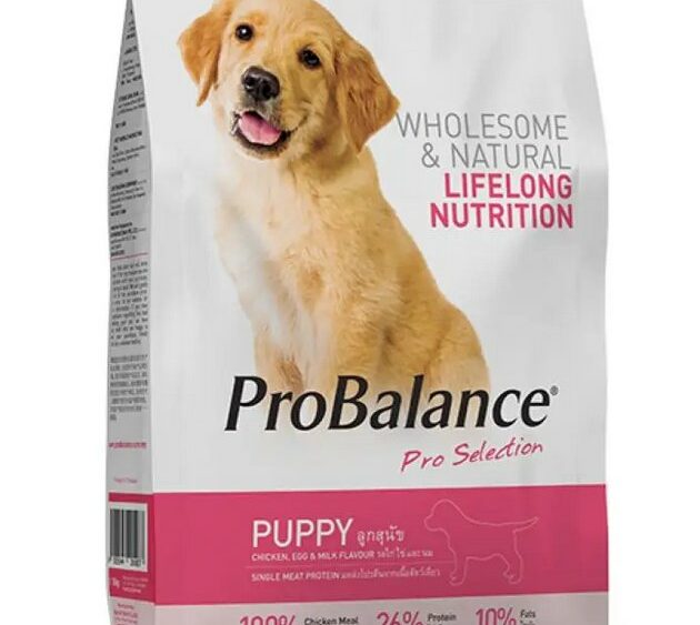 ProBalance Dry Kibble Dog Food for Puppy