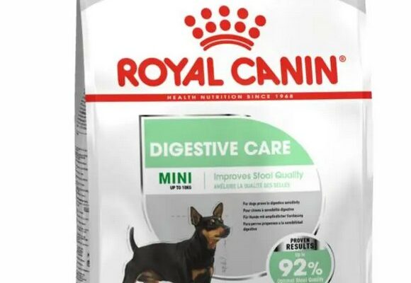 Royal Canin Mini Digestive Care