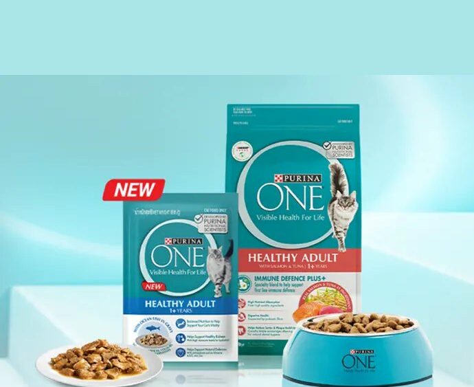 PURINA ONE Wet Food for Cats