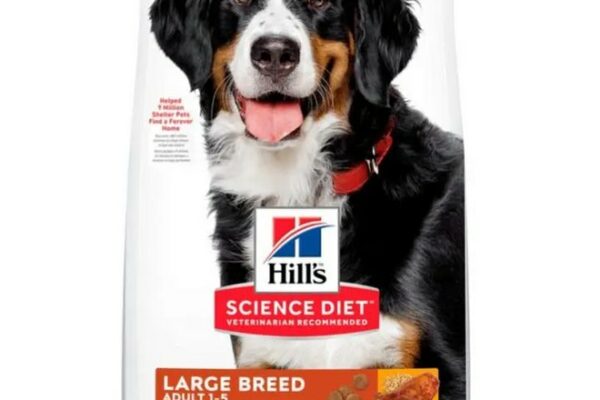 Hill’s Science Diet Adult Canine Large Breed