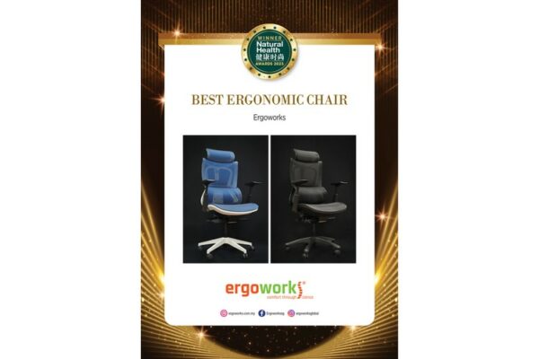 BEST Ergonomic Chair – Ergoworks