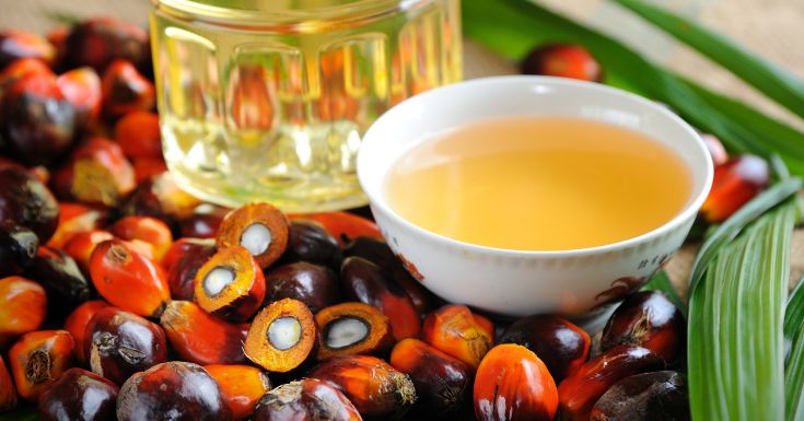 Ageing Smart - The Tocotrienol Approach for Timeless Vitality