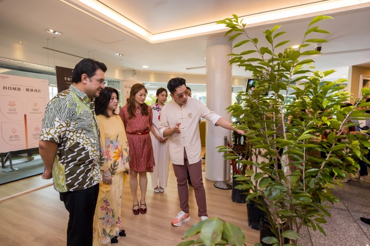 Heartana team explains the growth of Agarwood and its process