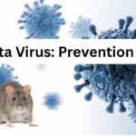 Hanta virus prevention tips