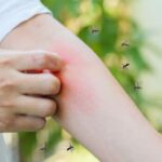 Rainy-Season Home Protection: Which Mosquito-Control Products Work Best in Malaysian Homes?